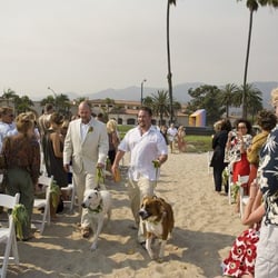 California School For Dogs Inc. - private dog training