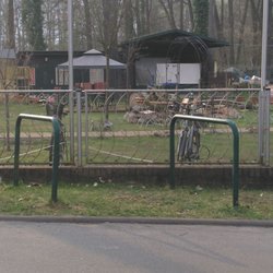 Waldidyll im Elsthal
