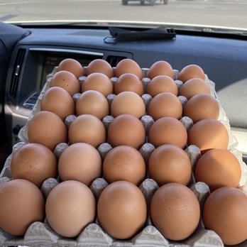 Billy's Egg Farm - Fresh cage free, omega 3 XL eggs! (30 egg tray) - Specialty Food Near Me - Chino, California