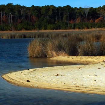 Kilmarnock Main Street - A partial view within Hughlett Point Natural Area Preserve located along the Chesapeake Bay. - Local Flavor Near Me Kilmarnock Main Street - A partial view within Hughlett Point Natural Area Preserve located along the Chesapeake Bay. - Local Flavor Near Me