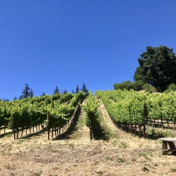 Big Basin Vineyards - Sitting next to their vineyards - Wine Tasting Room Near Me - Boulder Creek, California Big Basin Vineyards - Sitting next to their vineyards - Wine Tasting Room Near Me - Boulder Creek, California