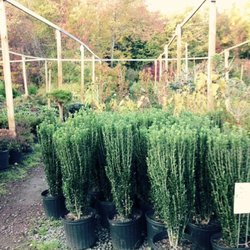 A.N.T. Nursery