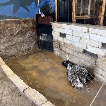 San Antonio Aquarium - Tiny concrete enclosure - Aquariums Near Me - Leon Valley, Texas San Antonio Aquarium - Tiny concrete enclosure - Aquariums Near Me - Leon Valley, Texas