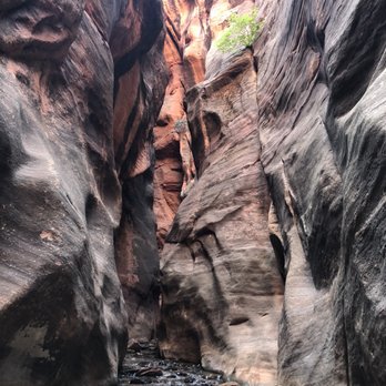 Kanarra Falls - Slot canyon - Hiking Near Me