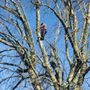 Photo of JNT TREE CARE