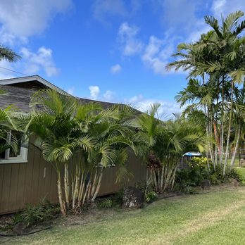 Treescape Hawaii - After he thinned everything as we asked him to - Tree Services Near Me - Ewa Beach, Hawaii Treescape Hawaii - After he thinned everything as we asked him to - Tree Services Near Me - Ewa Beach, Hawaii