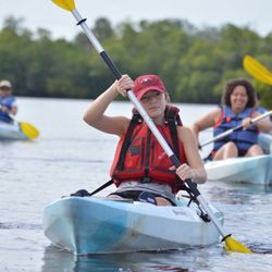 The look of determination on our Mangrove Tunnels Kayak Tour.