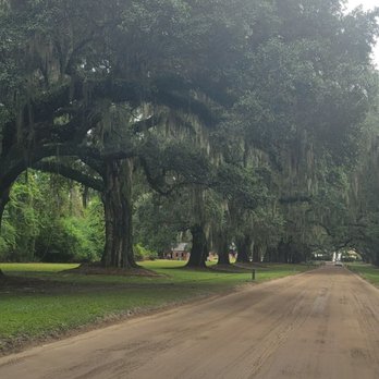 Boone Hall Plantation - Venues & Event Spaces Near Me - Mount Pleasant, South Carolina Boone Hall Plantation - Venues & Event Spaces Near Me - Mount Pleasant, South Carolina