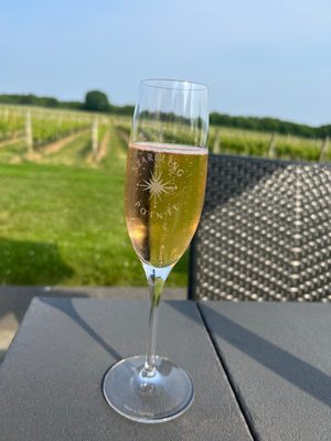 Sparkling Pointe Vineyards & Winery by null