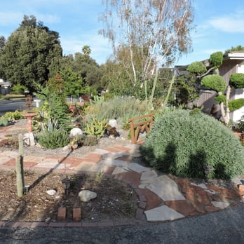 Waterwise Landscapes - New plants and a dry river rock bed in Sierra Madre -- with a cute new bridge! - Landscaping Near Me Waterwise Landscapes - New plants and a dry river rock bed in Sierra Madre -- with a cute new bridge! - Landscaping Near Me