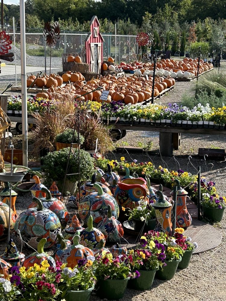 DECATUR GARDEN CENTER Updated September 2024 17 Photos 1551