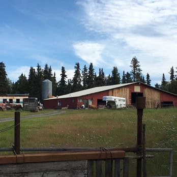 Diamond M Ranch Resort - RV Parks Near Me - Kenai, Alaska Diamond M Ranch Resort - RV Parks Near Me - Kenai, Alaska