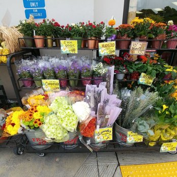 Trader Joe's - Grocery Near Me - Monterey, California Trader Joe's - Grocery Near Me - Monterey, California