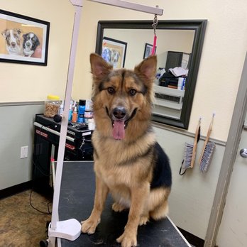 805 Pet Grooming - Pet Groomers Near Me - Westlake Village, California 805 Pet Grooming - Pet Groomers Near Me - Westlake Village, California