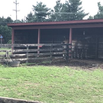 Frying Pan Farm Park - Parks Near Me - Herndon, Virginia Frying Pan Farm Park - Parks Near Me - Herndon, Virginia