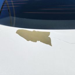 The trunk of my car and it has got bigger since the initial damage at the car wash The trunk of my car and it has got bigger since the initial damage at the car wash