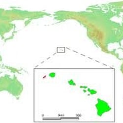 Niihau Helicopter - Ni'ihau Island Location