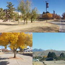 New Mexico State University