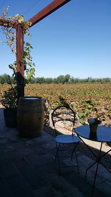 Bodega Lagarde by null