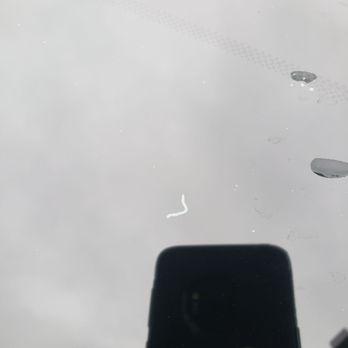 Total Toy Care - Scratches/lint/dirt/creases/bubbling in my window tint - Car Wash Near Me - Niles, Ohio Total Toy Care - Scratches/lint/dirt/creases/bubbling in my window tint - Car Wash Near Me - Niles, Ohio
