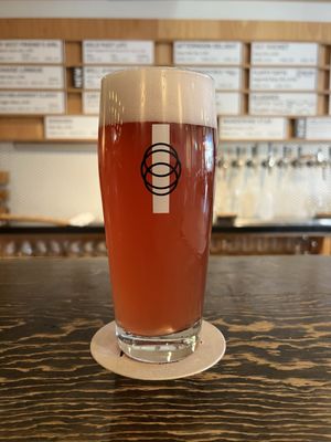 The Establishment Brewing Company by null