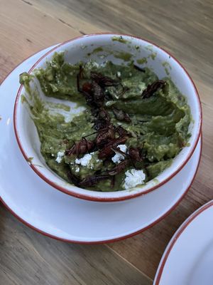 Cervecería Hércules by null