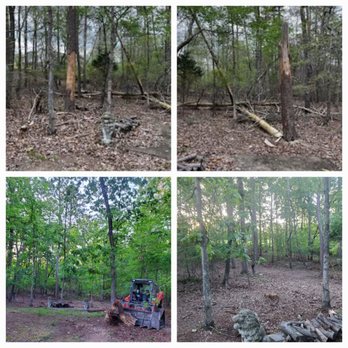 Mountain Valley Handyman - Cleaning up the woods to make it safe for kids to play. - Landscaping Near Me
