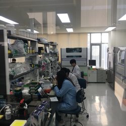 SocalTesting  - The Team