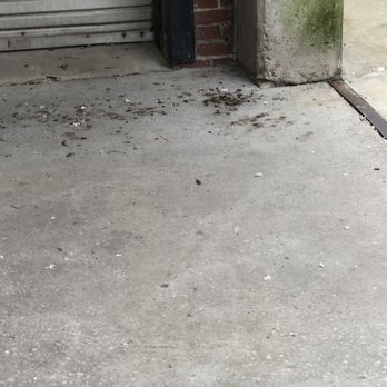 Mattress Factory Lofts - Health hazard! Mattress Factory property is inundated with animal waste! There is bird feces caked to the ground all over the place! - Apartments Near Me - Atlanta, Georgia Mattress Factory Lofts - Health hazard! Mattress Factory property is inundated with animal waste! There is bird feces caked to the ground all over the place! - Apartments Near Me - Atlanta, Georgia