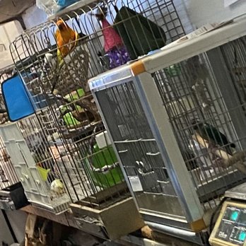 Rick's Fish & Pet Supply - Pet Stores Near Me - Frederick, Maryland