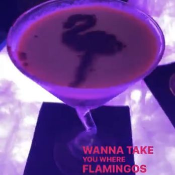 Flamingo Deck - Chocolate espresso flamingo martini - New American Near Me - San Diego, California