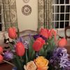 Petal Pushers gift card