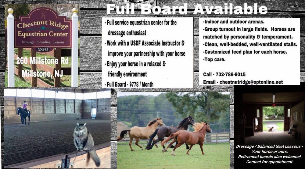 CHESTNUT RIDGE EQUESTRIAN CENTER Updated June 2024 260 Millstone Rd