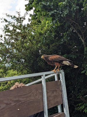 Aillwee Burren Experience by null