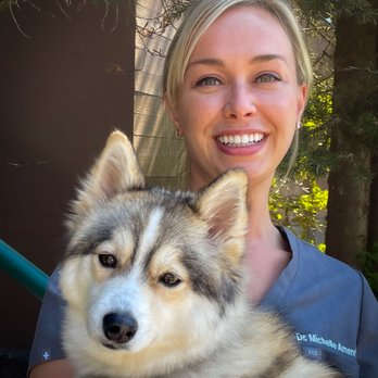 Bothell Family Dentistry - Dr. Ament with Dogtor Koda our therapy dog! - General Dentistry Near Me - Bothell, Washington
