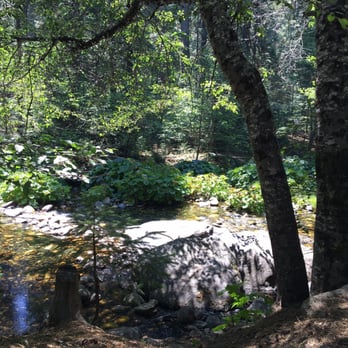 Pipi Campground - View of the creek on the drive - Campgrounds Near Me Pipi Campground - View of the creek on the drive - Campgrounds Near Me