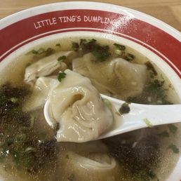 Chicken Wonton