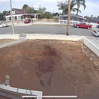 Ortega's Jr Tree Service - No more chinese elm tree and repaired pipe. - Tree Services Near Me - Riverside , California