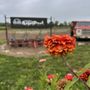 Photo of Fishers AgriPark