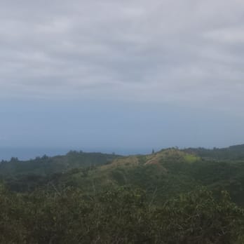Laie Falls - View top - Hiking Near Me