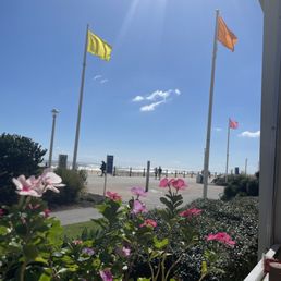 Friday brunch view Friday brunch view
