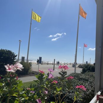 Katie's 33rd Street Cafe - Friday brunch view - Cafes Near Me - Virginia Beach, Virginia Katie's 33rd Street Cafe - Friday brunch view - Cafes Near Me - Virginia Beach, Virginia