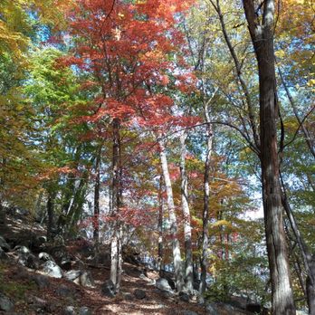 Bear Mountain State Park - We had lunch under those trees, so beautiful. - Parks Near Me - Tomkins Cove, New York Bear Mountain State Park - We had lunch under those trees, so beautiful. - Parks Near Me - Tomkins Cove, New York