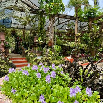 Vallarta Botanical Gardens - Botanical Gardens Near Me - Cabo Corrientes, JAL Vallarta Botanical Gardens - Botanical Gardens Near Me - Cabo Corrientes, JAL
