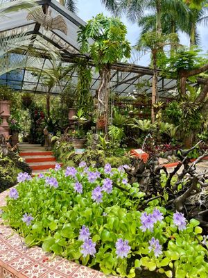 Vallarta Botanical Gardens AC by null