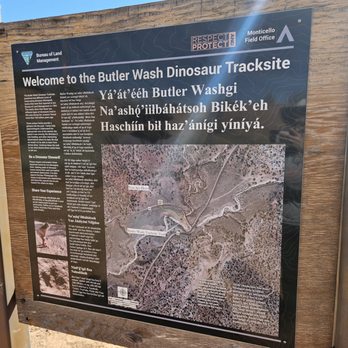 Butler Wash Ruins - Dinosaur tracksite informational sign - Hiking Near Me - Blanding, Utah Butler Wash Ruins - Dinosaur tracksite informational sign - Hiking Near Me - Blanding, Utah