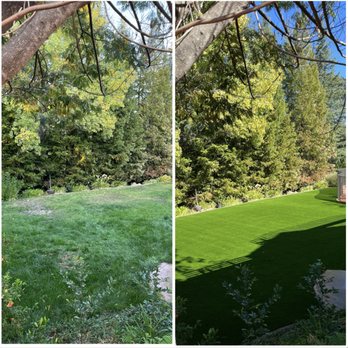 Artificial Turf By Fenix - Another view before/after - Artificial Turf Near Me - Rocklin, California