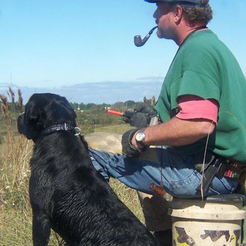 Webfoot Retrievers - Pet Sitting Near Me - Holly Hill, South Carolina Webfoot Retrievers - Pet Sitting Near Me - Holly Hill, South Carolina