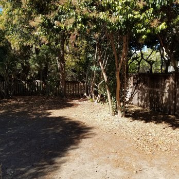 Vince's Landscaping - Lawn Before - Landscaping Near Me - Martinez, California