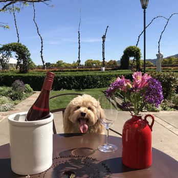 Peju Winery - Wine Tasting Room Near Me - Rutherford, California Peju Winery - Wine Tasting Room Near Me - Rutherford, California